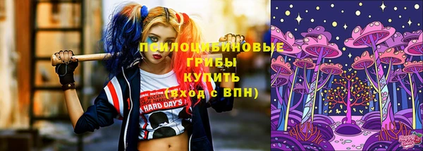марки lsd Богданович
